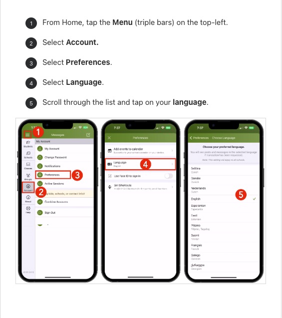 Change Language on Mobile